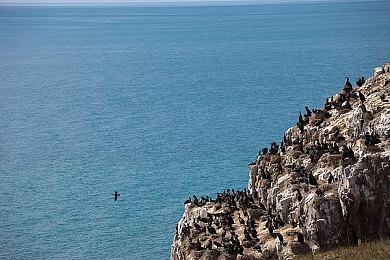 《聚点危机：英雄联盟外传》现已正式登陆各大平台