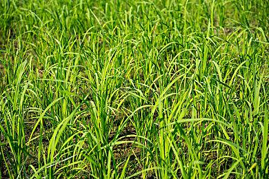 个头小了一圈！PS5 Slim和PS5大小对比视频